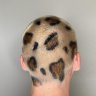 log