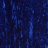 BlueVelvet23